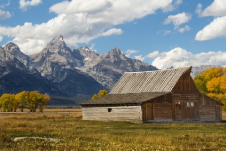 Exploring the Culinary Scene in Jackson Hole